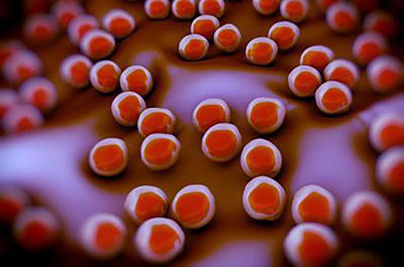 Biosafety