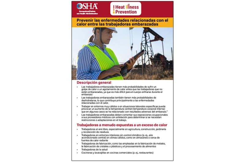 Pregnant Workers-Spanish